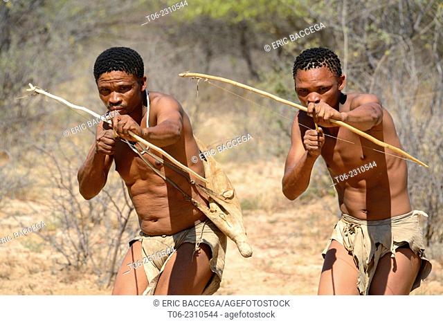 Naro San Bushmen hunting in the bush with traditional bow and arrow, Kalahari, Ghanzi region, dry season, Botswana, Africa