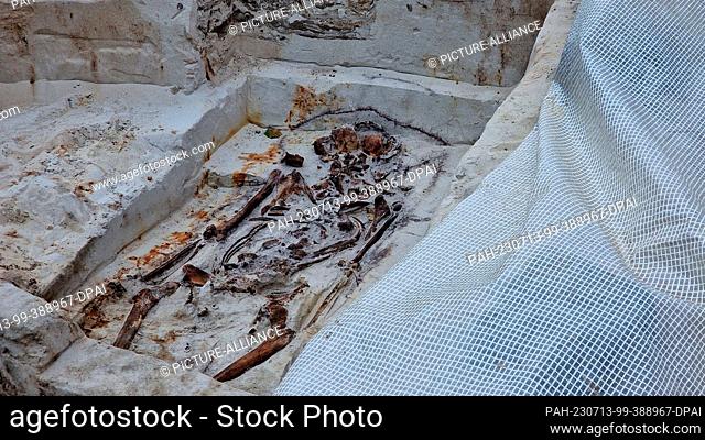 13 July 2023, Brandenburg, Brandenburg an der Havel: A skeleton lies in a coffin in a grave. A Slavic early Christian inhumation burial ground has been...