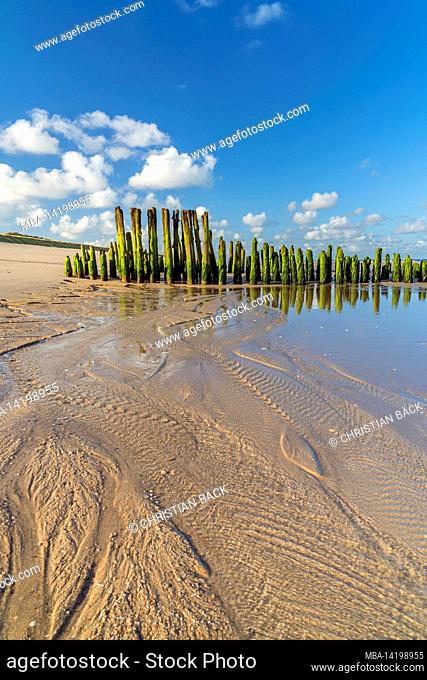 Wooden groynes in front of Rantum at low tide, Sylt Island, Schleswig-Holstein, Germany