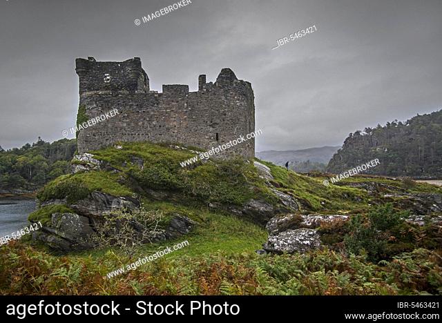 Castle Tioram on the tidal island Eilean Tioram in Loch Moidart in autumn, Lochaber, Scottish Highlands, Scotland, United Kingdom, Europe