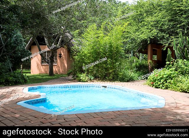 vacation home in nature forest sout africa with pool