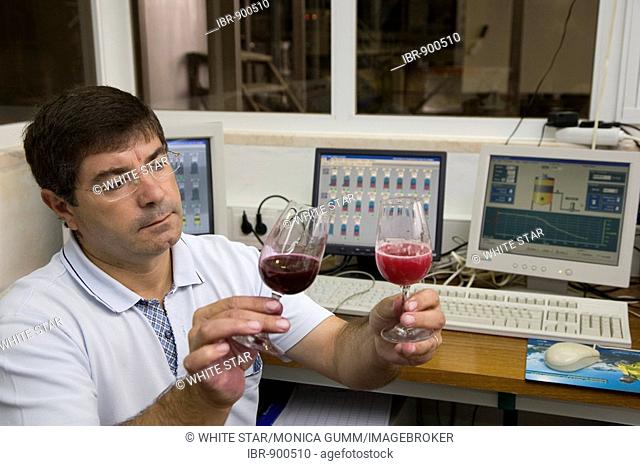 Oenologist, Oscar Gato, evaluating the must and controlling the wine press house via computer, Adega Cooperativa de Borba, Alentejo Region, Portugal, Europe