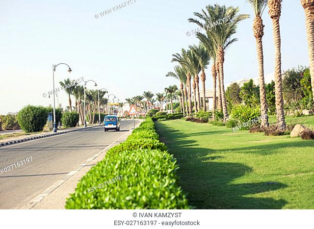 Green bush park road in Sharm el Sheikh, Egypt