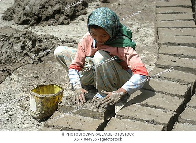 India, Ladakh region state of Jammu and Kashmir, Shey, Woman making mud blocks