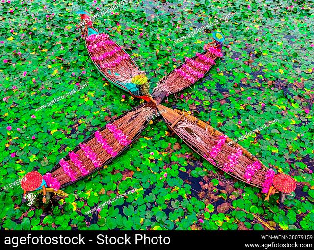 BARISHAL, BANGLADESH - AUGUST 17: Aerial view of farmers collecting water lilies in Satla Union in Barishal, Bangladesh. Where: Barishal, Barishal