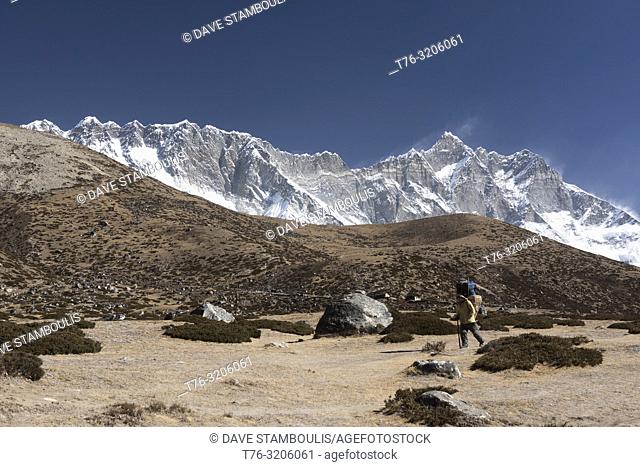 Porter carrying a load to Everest Base Camp, Khumbu, Nepal