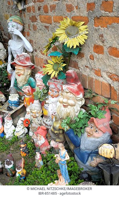 Ceramic figurines, garden gnomes