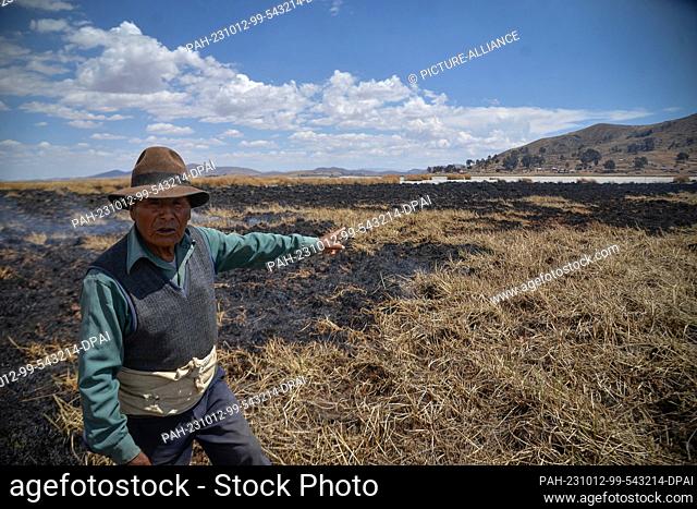 11 October 2023, Bolivia, Huarina: Gregorio Apaza points to burnt cattails on Cojata Island on Lake Titicaca. Due to low rainfall and high heat