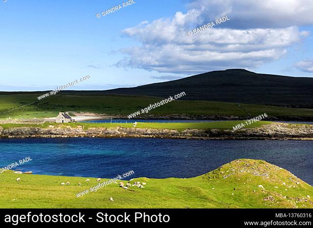 Coast at Noss Sound between the islands of Bressay and Noss, view to the island of Noss, Scotland, Shetland Islands