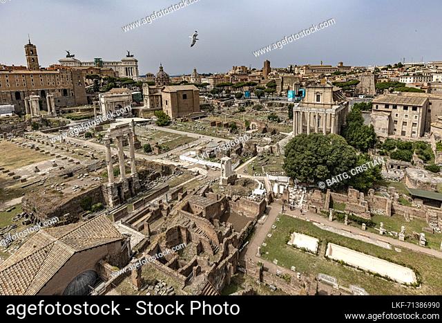 Ancient Forum Rome Italy