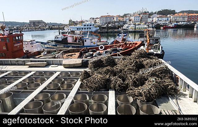 Fishing cages, panoramic view of the fishing port of o Grove, province of Pontevedra, Spain