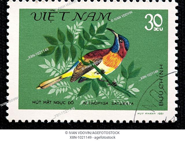 Black-throated Sunbird Aethopyga saturata, postage stamp, Vietnam, 1981