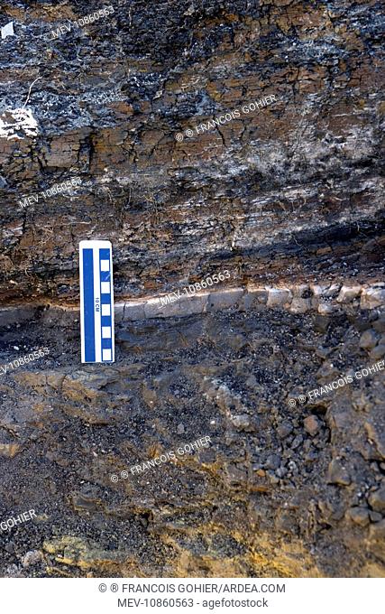 GEOLOGY: K-T boundary - The K-T boundary claystone layer at the Sussex locality, Wyoming, USA. At bottom of the image is the mudstone of the Lance Formation...