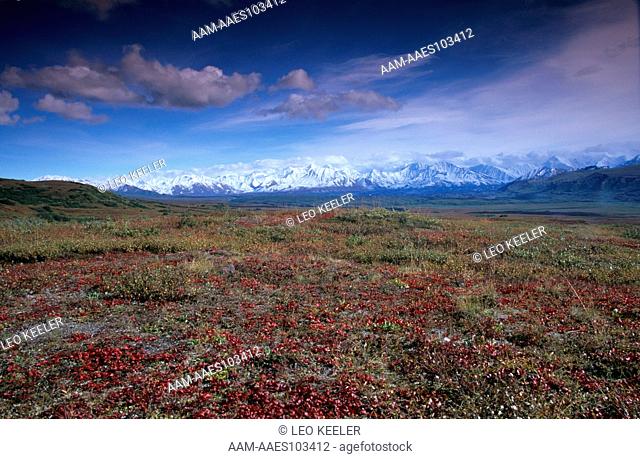 Alaska Mountain Range, Denali Natl Park, Alaska