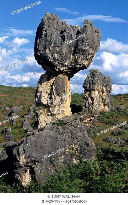 Limestone pinnacles in Shilin, Stone Forest, in Lunan, Yunnan Province, China, Asia