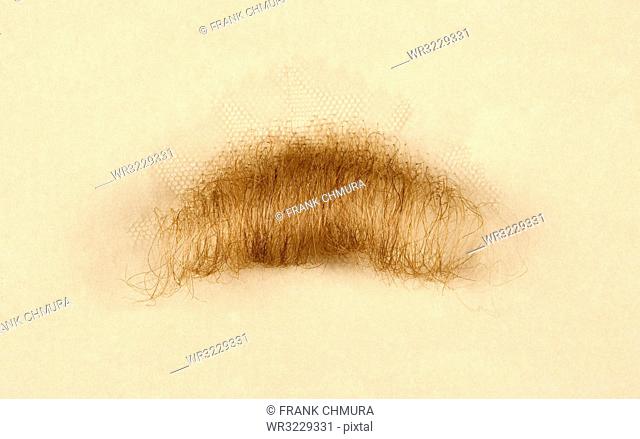 Artificial Mustache for Film and Theater Production