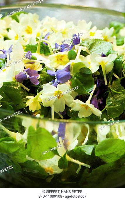 Delicate spring salad with flowers and lime leaves