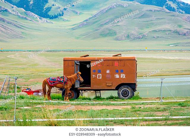 Horse and caravan, Sayram lake, China