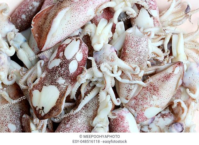 Boiled octopus of pile for design food background