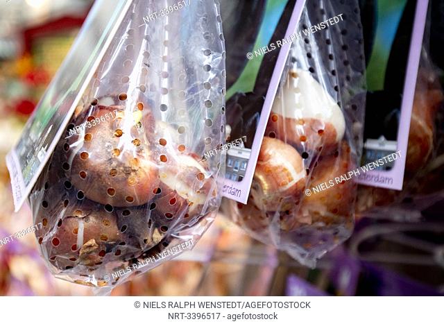 ASMTERDAM - Most bulbs bought at Amsterdam’s flower market fail to bloom. Most of the bulbs bought on Amsterdam’s flower market fail to bloom and those that do...