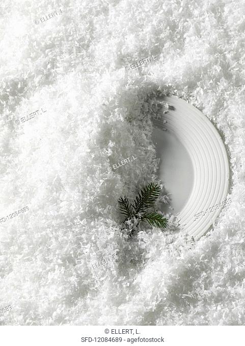 A plate with a fir twig in the snow