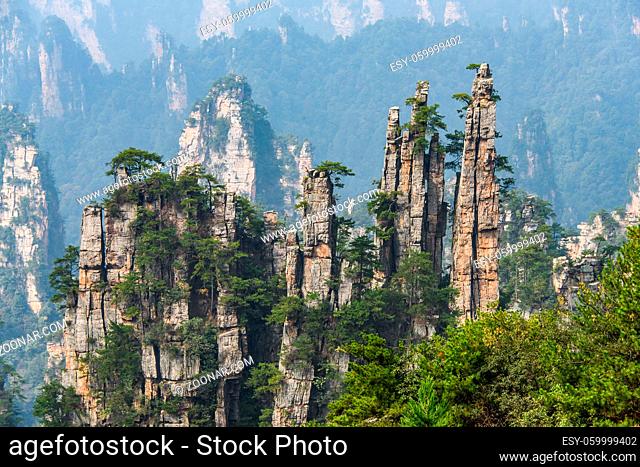 The peaks of Zhangjiajie National Forest that inspired the scenography of Avatar Hallelujiah Mountains