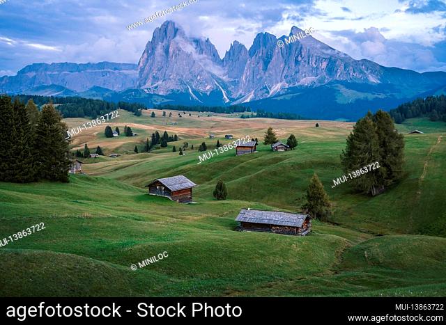 Italian Dolomiti Alps. Seiser Alm or Alpe di Siusi location, Bolzano province, South Tyrol, Italy, Europe
