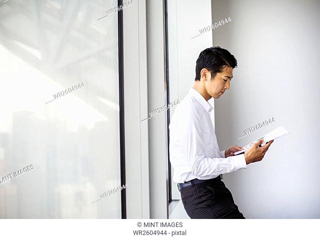 A businessman in the office, by a large window reading paperwork