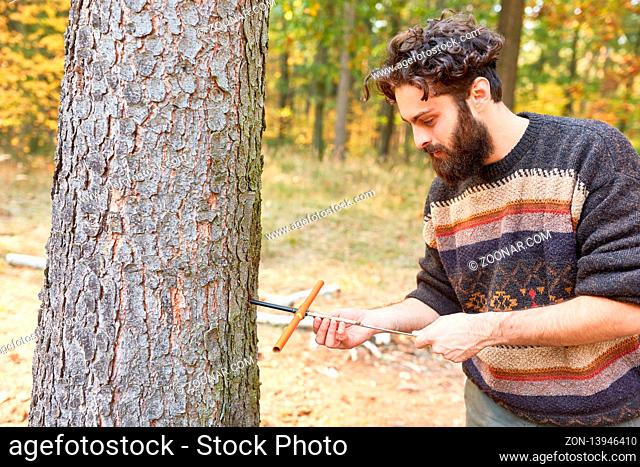 Förster oder Forstwirt misst am Baum die Holzfeuchte und den Holzzuwachs