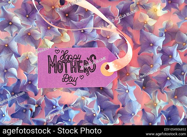 One Label WIth English Calligraphy Happy Mothers Day. Hydrangea Flower Blossoms On Wooden Background