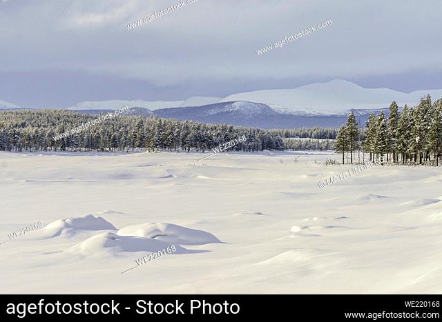 Winter landscape with big mountain in background, frozen lake and storm comming in, Jokkmokk county, Swedish Lapland, Sweden