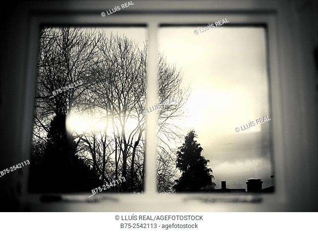 Photographic view through a window of trees and the sky. Buckden Court, Buckden, Yorkshire Dales, England, UK, Europe