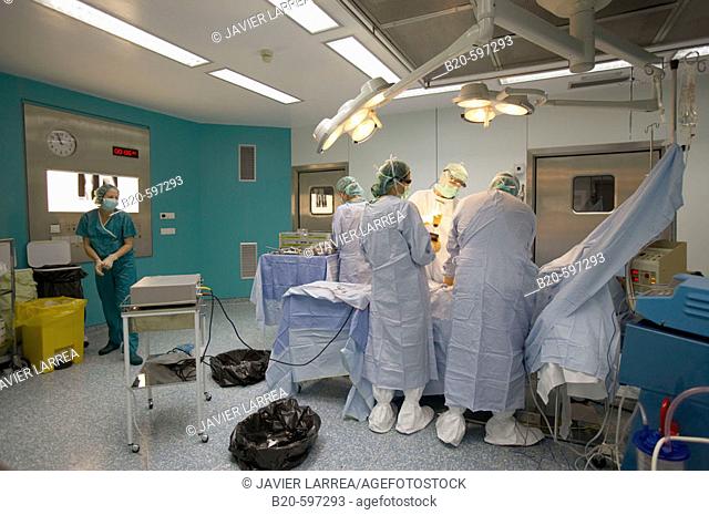 Traumatology operation room. Hospital de Zumarraga, Gipuzkoa, Euskadi, Spain