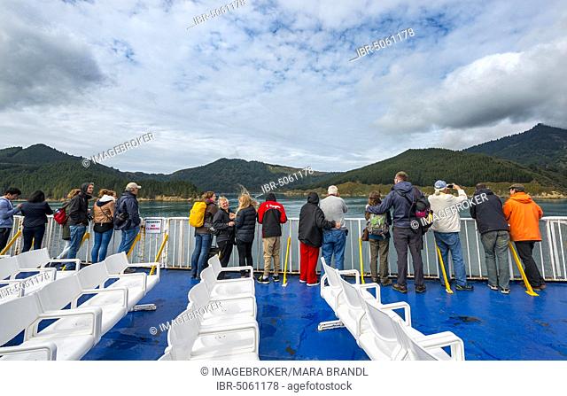 Passengers on deck of a ferry in the fjord, ferry connection Wellington Picton, Queen Charlotte Sound, South Island, New Zealand, Oceania