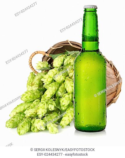 Light beer and hop in basket isolated on white background