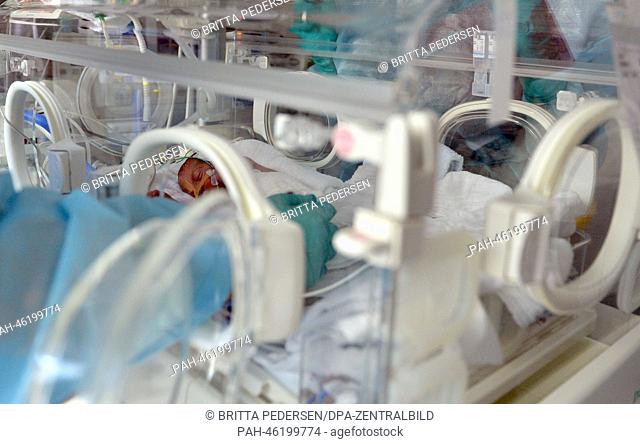 A premature newborn infant lies in an incubator at the neonatal intensive care unit of the university hospital Charite in Berlin, Germany, 05 February 2014