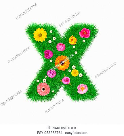Letter X made of grass and colorful flowers, spring concept for graphic design collage
