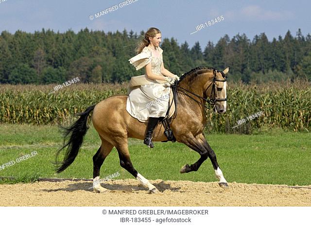 Girl wearing a historic dress riding canter on a Lusitano horse stallion