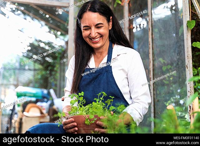 Mature woman holding plant while sitting in garden shed