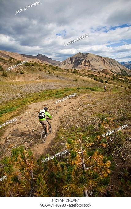 Two middle aged male mountain bikers ride the perfect singletrack trails of Spruce Lake Protected Area, Southern Chilcotins, British Columbia, Canada