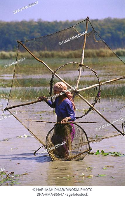 tharu tribal fishing , dudwa , uttar pradesh , india