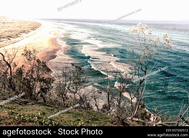 in australia fraser island the beach near the rocks in the wave of ocean