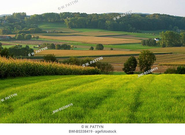 hilly field landscape, Belgium, Vlaamse Ardennen