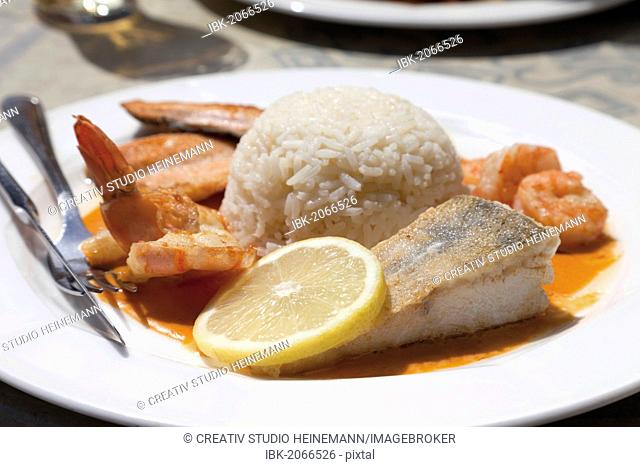Fish platter with prawns, boiled rice and lobster sauce