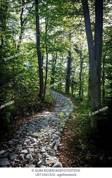 Woodland path, Pecina Megara near Tarcin, Bosnia and Herzegovina