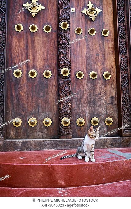 Tanzania, Zanzibar island, Unguja, Stone Town, unesco world heritage, street cats