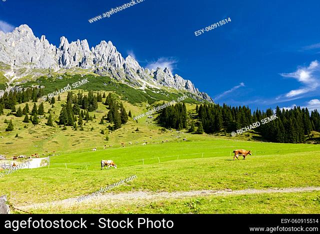 Austrian Alps nearby Arturhaus and Bischofshofen