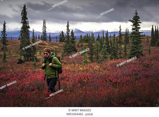 Asian man hiking near trees in landscape