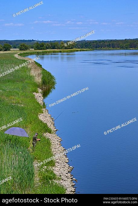 05 June 2023, Brandenburg, Schwedt: An angler stands on the bank of the German-Polish border river Oder near Schwedt. Prior to the Oder Conference