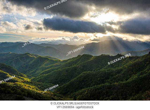 Rays of light on the forests in Apennines after a storm, Foreste Casentinesi NP, Emilia Romagna NP, Italy